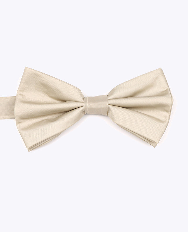 Vlinderdas Beige Heren in Gerecycled Polyester "Marin"