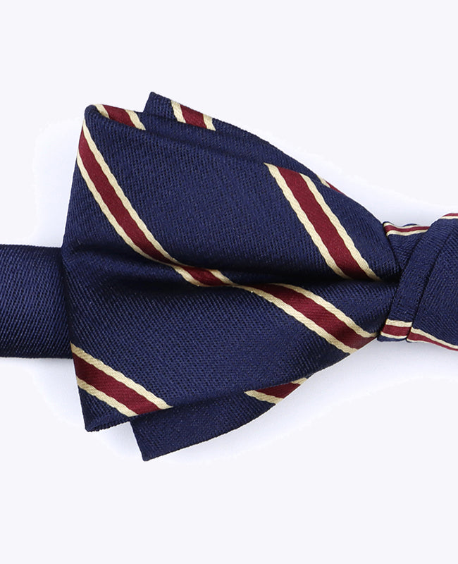 Vlinderdas Blauw Gestreept Heren in Polyester "Edmond"