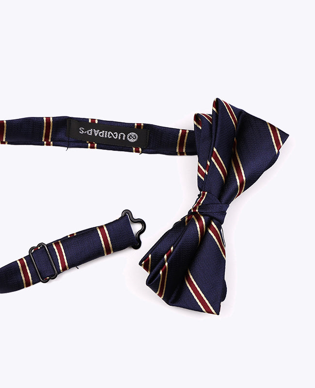 Vlinderdas Blauw Gestreept Heren in Polyester "Edmond"