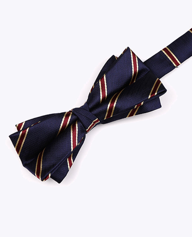Vlinderdas Blauw Gestreept Heren in Polyester "Edmond"