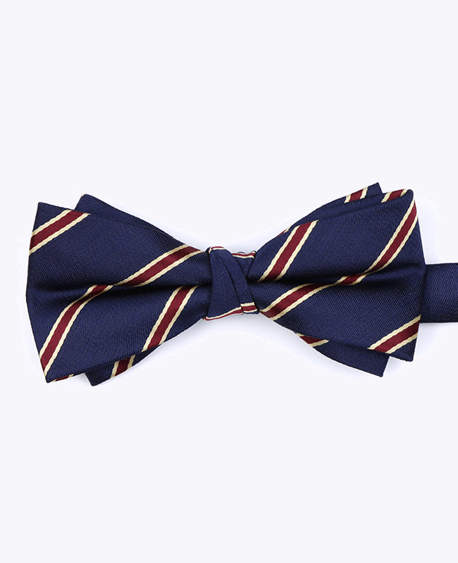 Vlinderdas Blauw Gestreept Heren in Polyester "Edmond"