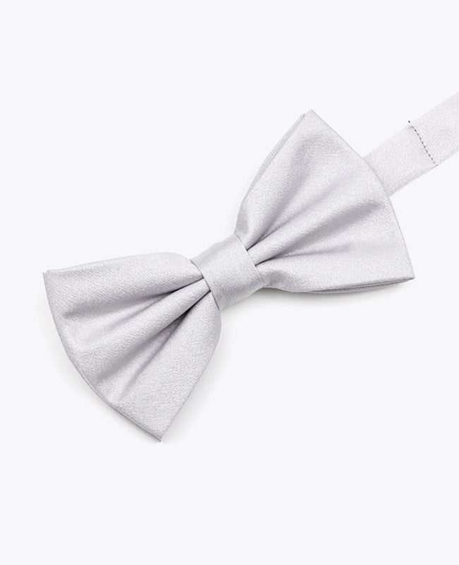 Vlinderdas met Pailletten Zilver nr.1 Heren in Polyester | Armand - Unipap's