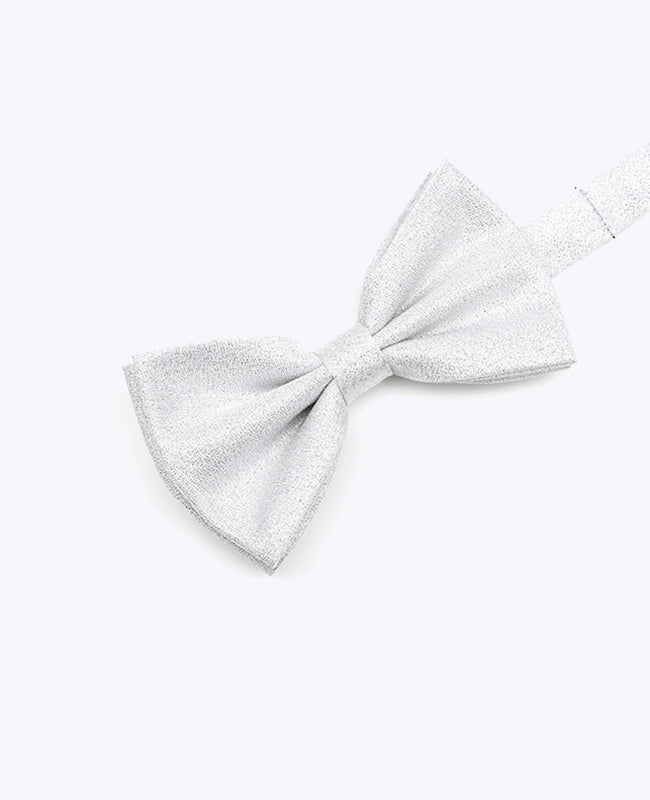 Vlinderdas met Zilveren Pailletten nr.1 Heren in Polyester | Isidore - Unipap's