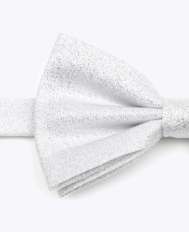 Vlinderdas met Zilveren Pailletten nr.1 Heren in Polyester | Isidore - Unipap's