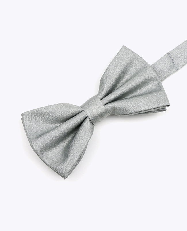 Vlinderdas met Pailletten Zilver nr.2 Heren in Polyester | Armand - Unipap's