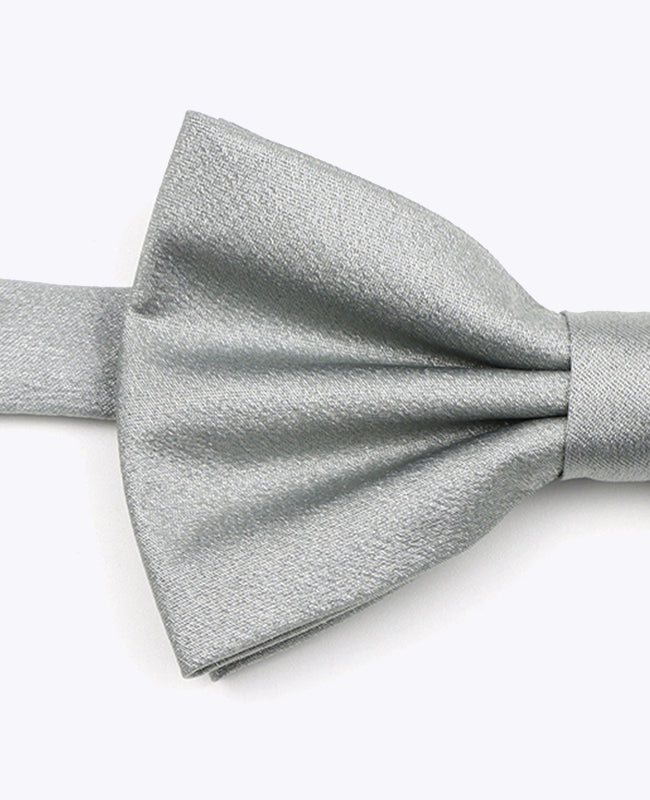 Vlinderdas met Zilveren Pailletten nr.2 Heren in Polyester | Armand - Unipap's