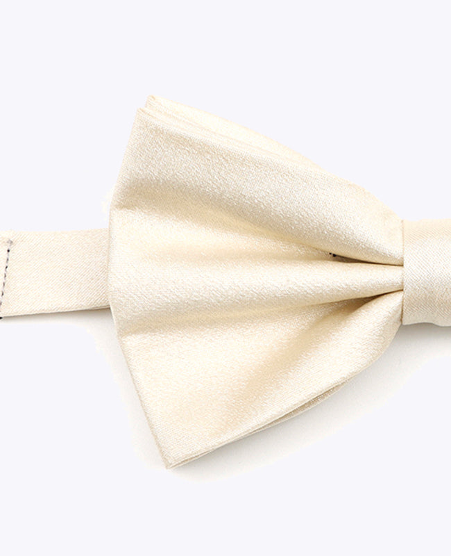 Vlinderdas met Witte Pailletten nr.1 Heren in Polyester | Armand - Unipap's
