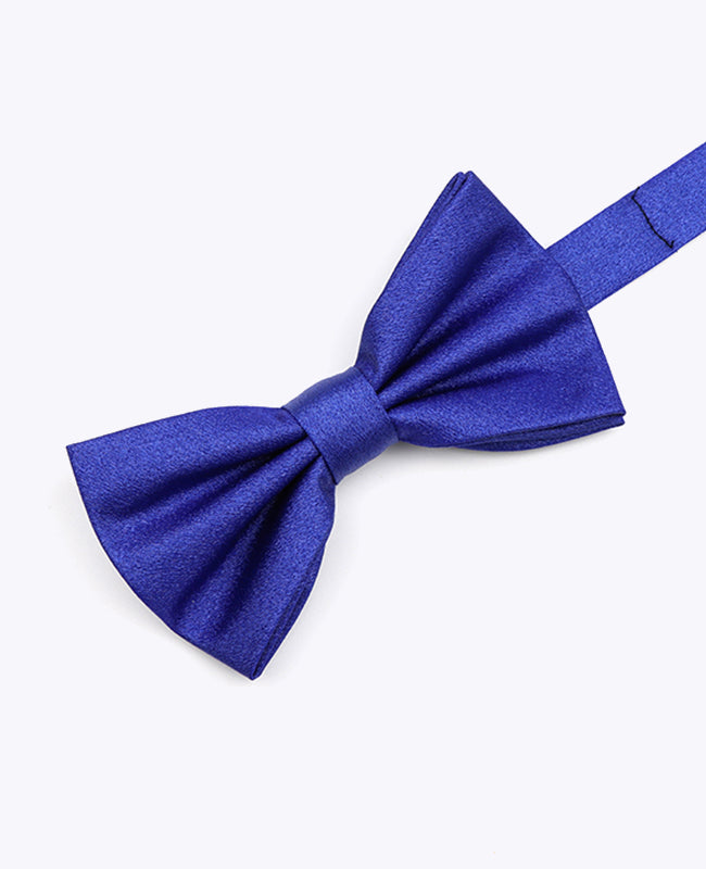 Vlinderdas met Pailletten Blauw nr.2 Heren in Polyester | Armand - Unipap's