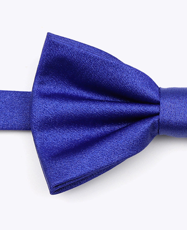 Vlinderdas met Pailletten Blauw nr.2 Heren in Polyester | Armand - Unipap's