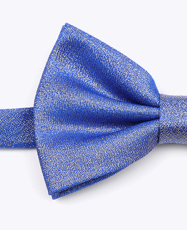 Vlinderdas met Pailletten Blauw nr.2 Heren in Polyester | Isidore - Unipap's