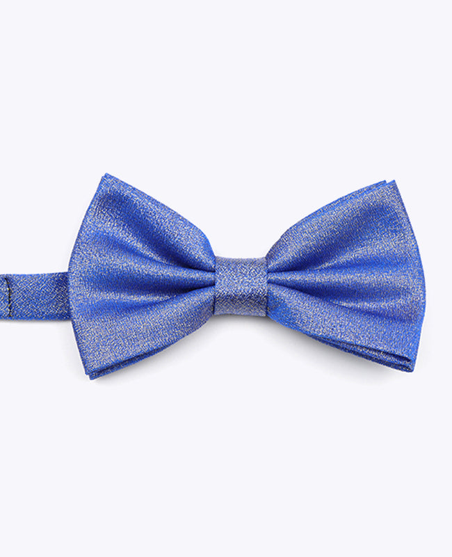 Vlinderdas met Pailletten Blauw nr.2 Heren in Polyester | Isidore - Unipap's