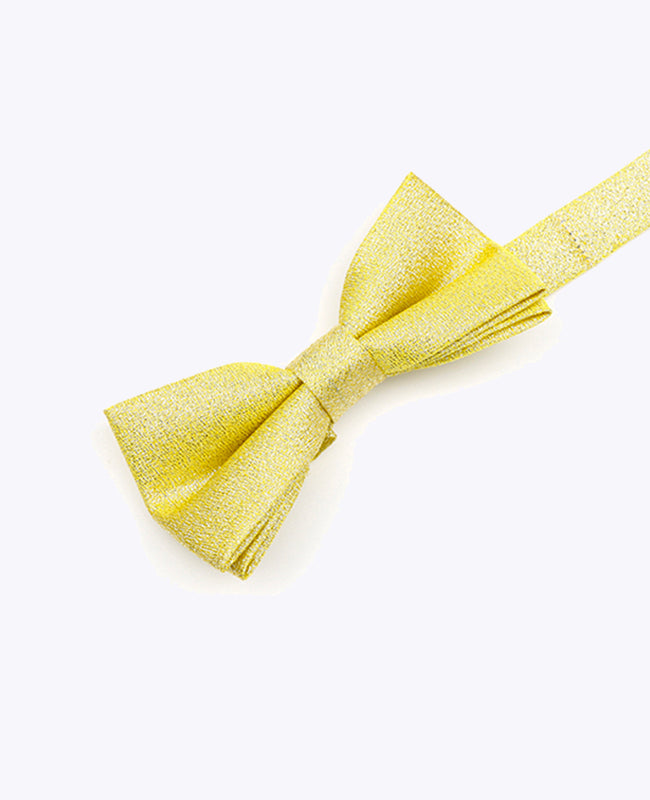 Vlinderdas met Gouden Pailletten nr.1 Kinderen in Polyester | Isidore - Unipap's