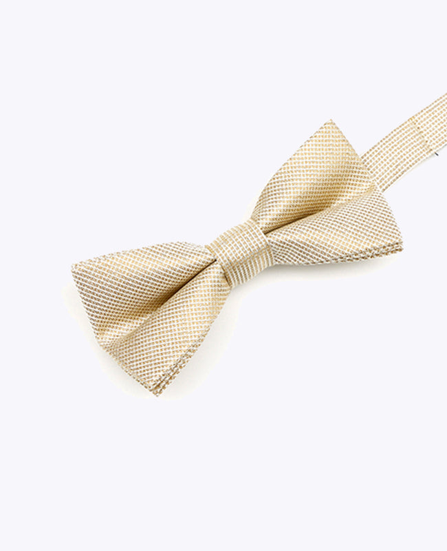 Vlinderdas met Gouden Pailletten nr.1 Kinderen in Polyester | Léonard - Unipap's