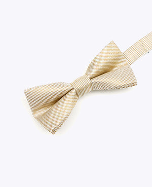 Vlinderdas met Gouden Pailletten nr.1 Kinderen in Polyester | Léonard - Unipap's