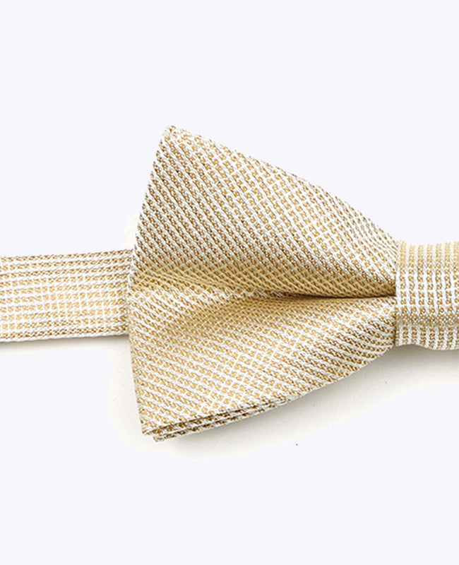 Vlinderdas met Gouden Pailletten nr.1 Kinderen in Polyester | Léonard - Unipap's