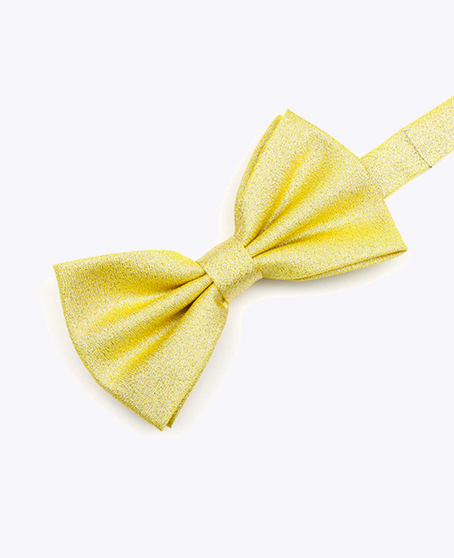 Vlinderdas met Gouden Pailletten nr.1 Heren in Polyester | Isidore - Unipap's