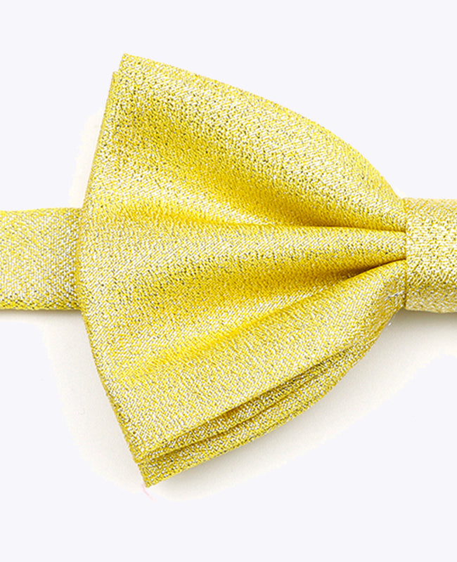 Vlinderdas met Gouden Pailletten nr.1 Heren in Polyester | Isidore - Unipap's