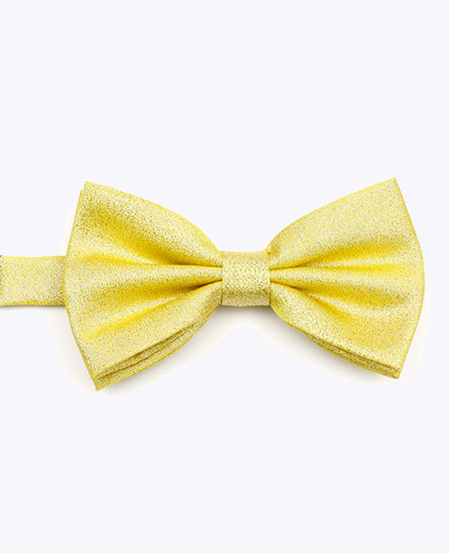 Vlinderdas met Gouden Pailletten nr.1 Heren in Polyester | Isidore - Unipap's
