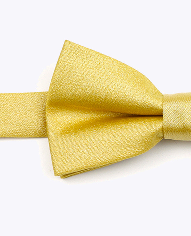 Vlinderdas met Gouden Pailletten nr.2 Kinderen in Polyester | Armand - Unipap's
