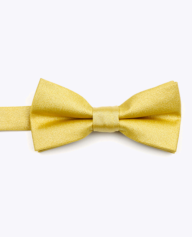 Vlinderdas met Pailletten Goud nr.2 Kinderen in Polyester | Armand - Unipap's
