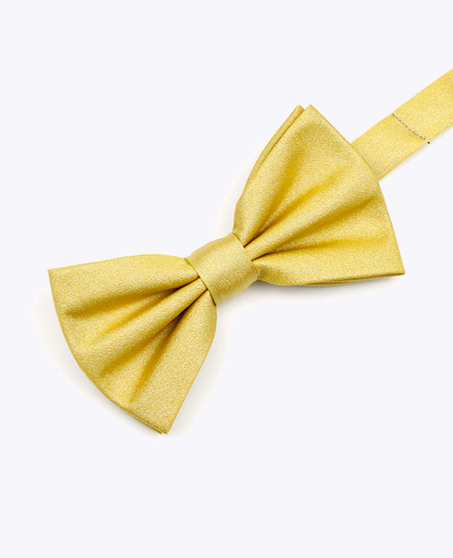 Vlinderdas met Pailletten Goud nr.2 Heren in Polyester | Armand - Unipap's