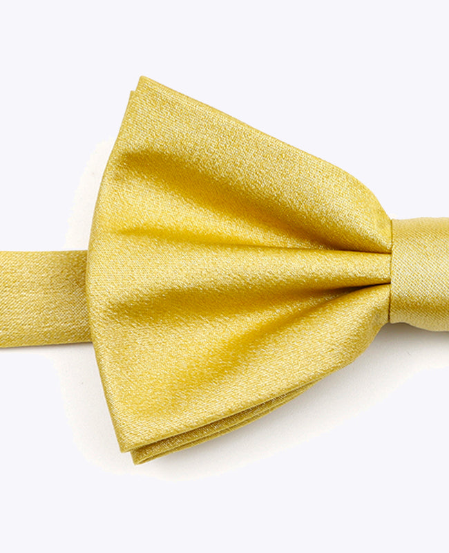 Vlinderdas met Gouden Pailletten nr.2 Heren in Polyester | Armand - Unipap's