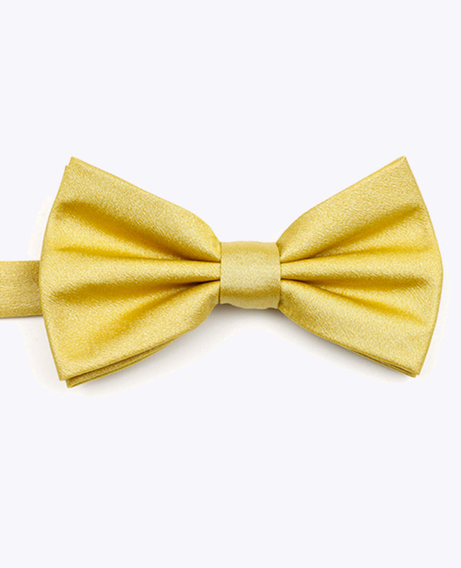 Vlinderdas met Gouden Pailletten nr.2 Heren in Polyester | Armand - Unipap's