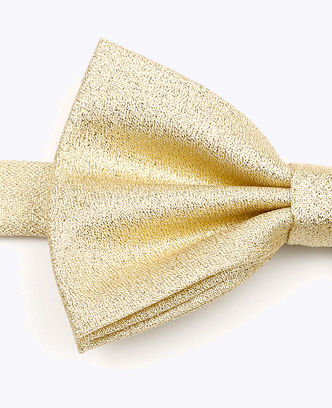 Vlinderdas met Pailletten Goud nr.2 Heren in Polyester | Isidore - Unipap's