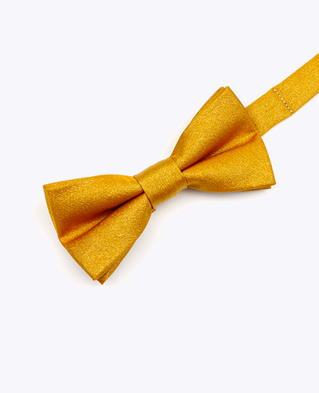 Vlinderdas met Gouden Pailletten nr.3 Kinderen in Polyester | Armand - Unipap's