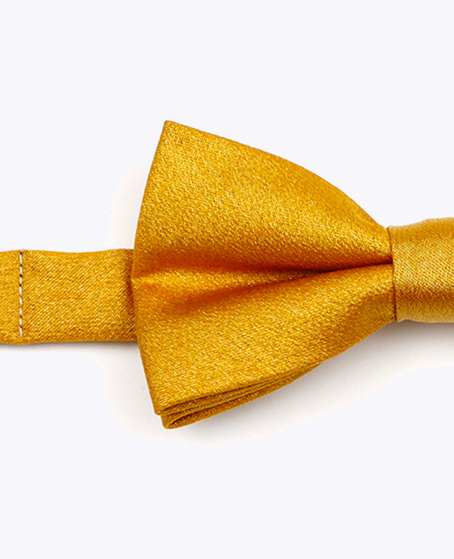 Vlinderdas met Pailletten Goud nr.3 Kinderen in Polyester | Armand - Unipap's