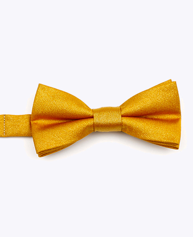 Vlinderdas met Pailletten Goud nr.3 Kinderen in Polyester | Armand - Unipap's