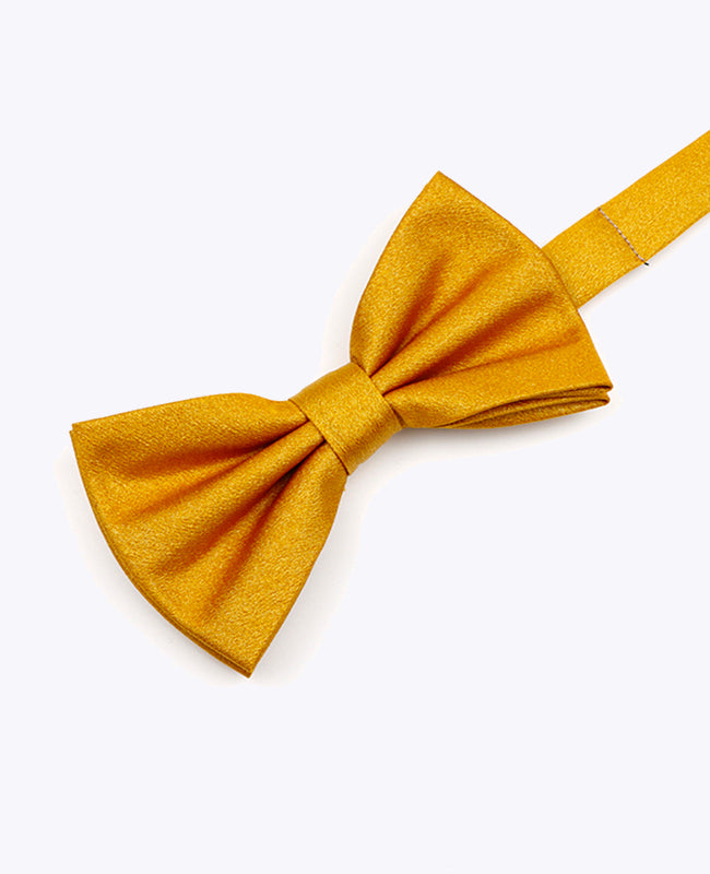 Vlinderdas met Gouden Pailletten nr.3 Heren in Polyester | Armand - Unipap's