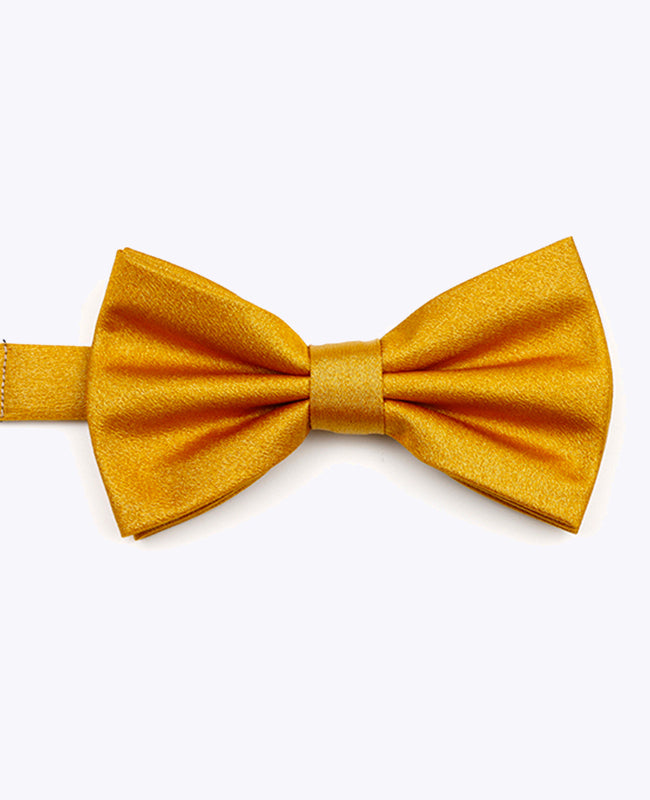 Vlinderdas met Gouden Pailletten nr.3 Heren in Polyester | Armand - Unipap's