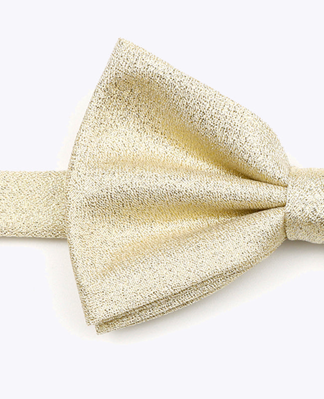 Vlinderdas met Pailletten Goud nr.3 Heren in Polyester | Isidore - Unipap's