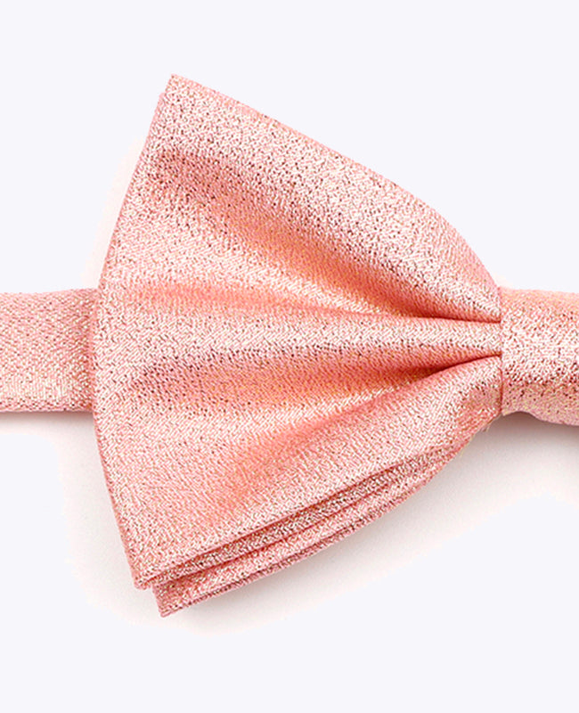 Vlinderdas met Pailletten Roze nr.2 Heren in Polyester | Isidore - Unipap's