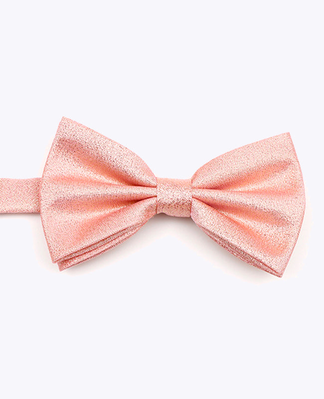 Vlinderdas met Pailletten Roze nr.2 Heren in Polyester | Isidore - Unipap's