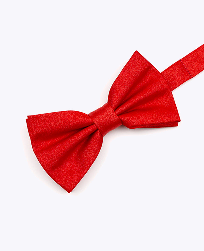 Vlinderdas met Pailletten Rood nr.1 Heren in Polyester | Armand - Unipap's