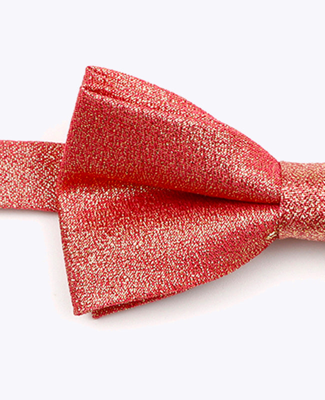 Vlinderdas met Pailletten Rood nr.2 Kinderen in Polyester | Isidore - Unipap's