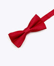 Vlinderdas met Pailletten Rood nr.2 Kinderen in Polyester | Armand - Unipap's