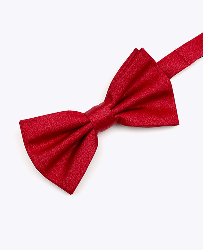 Vlinderdas met Pailletten Rood nr.2 Heren in Polyester | Armand - Unipap's
