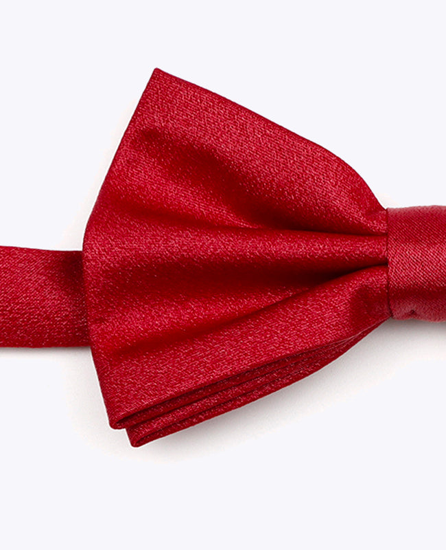 Vlinderdas met Pailletten Rood nr.2 Heren in Polyester | Armand - Unipap's