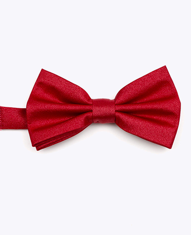 Vlinderdas met Pailletten Rood nr.2 Heren in Polyester | Armand - Unipap's