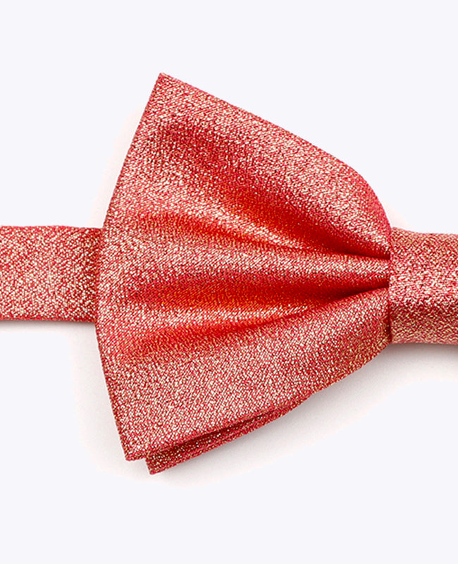 Vlinderdas met Pailletten Rood nr.2 Heren in Polyester | Isidore - Unipap's