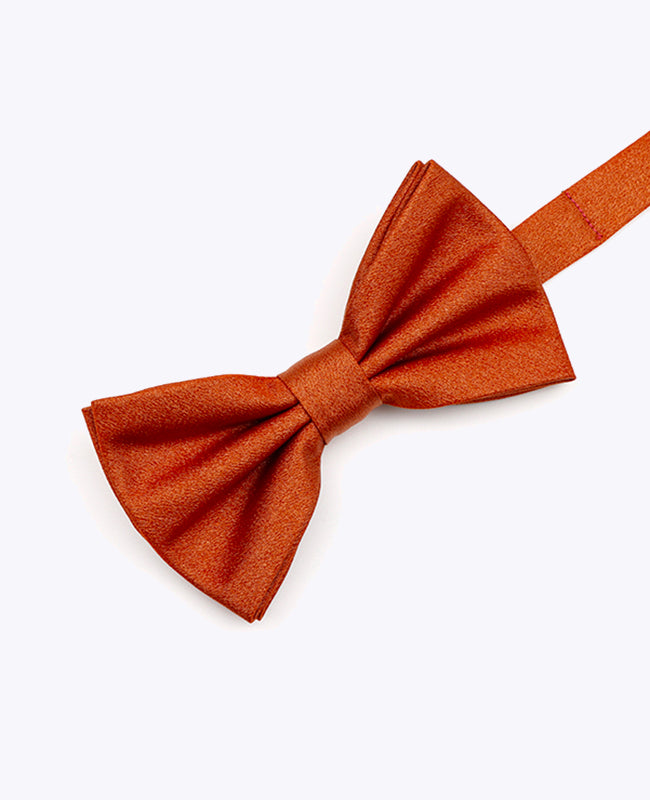 Vlinderdas met Pailletten Terracotta nr.1 Heren in Polyester | Armand - Unipap's