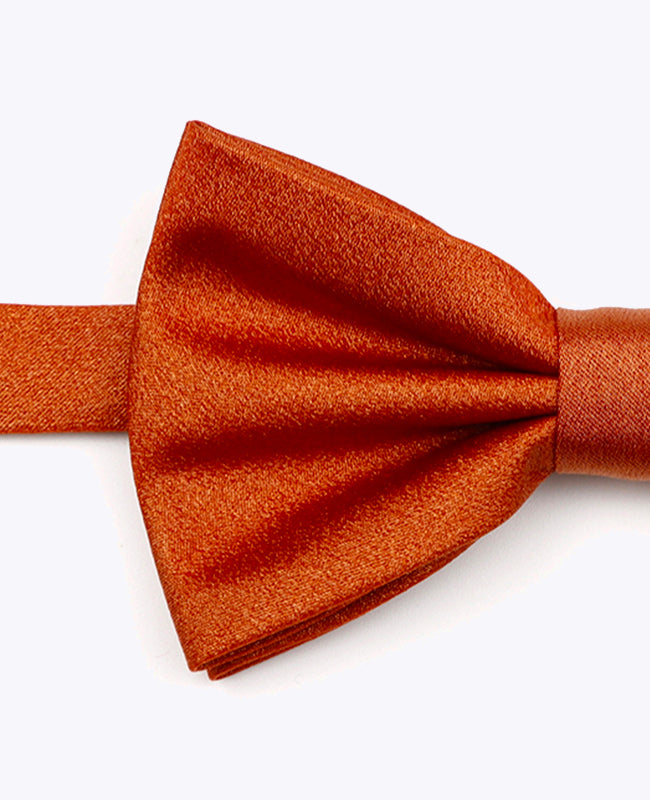 Vlinderdas met Terracotta Pailletten nr.1 Heren in Polyester | Armand - Unipap's