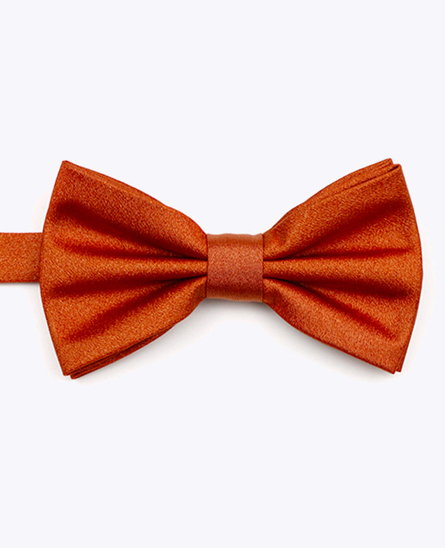 Vlinderdas met Terracotta Pailletten nr.1 Heren in Polyester | Armand - Unipap's
