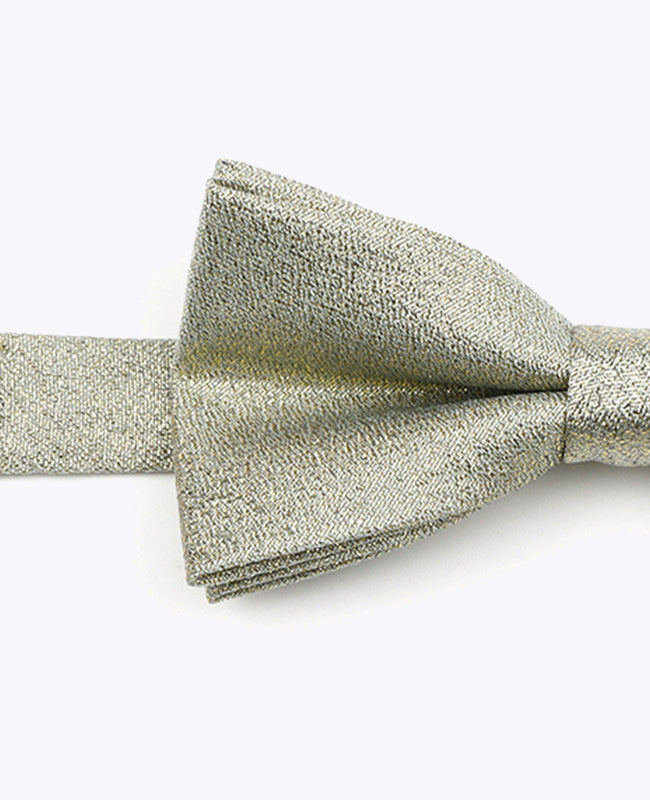 Vlinderdas met Pailletten Groen nr.1 Kinderen in Polyester | Isidore - Unipap's