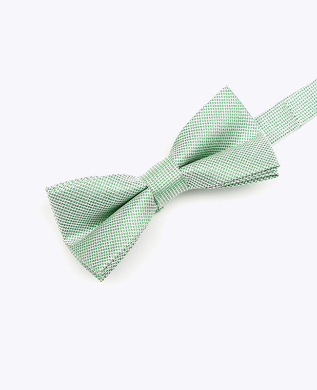 Vlinderdas met Groene Pailletten nr.1 Kinderen in Polyester | Léonard - Unipap's