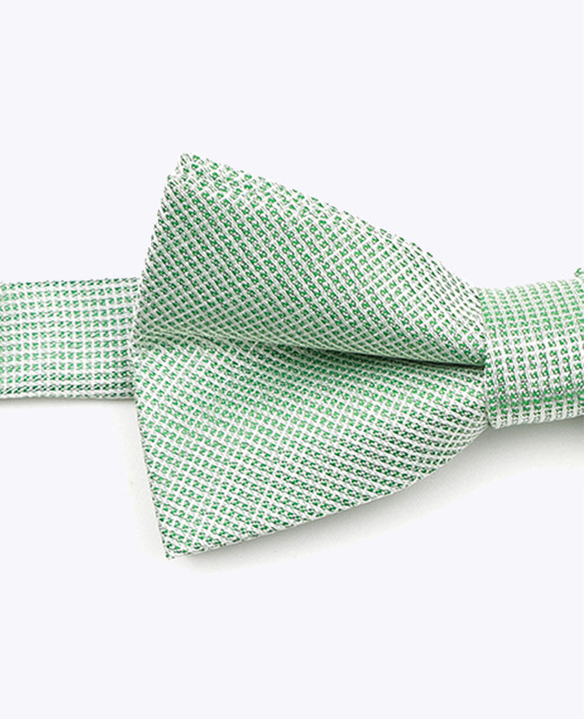 Vlinderdas met Pailletten Groen nr.1 Kinderen in Polyester | Léonard - Unipap's