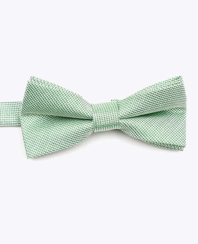 Vlinderdas met Groene Pailletten nr.1 Kinderen in Polyester | Léonard - Unipap's